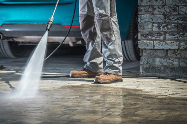 Best Window and Screen Pressure Cleaning in Gorevle, IL